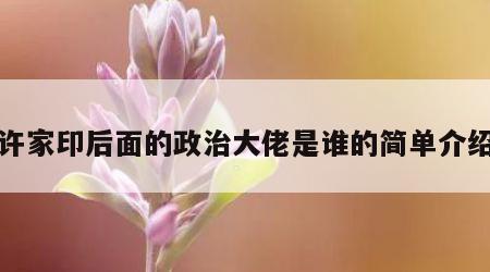 许家印后面的政治大佬是谁的简单介绍