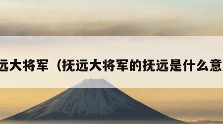 抚远大将军（抚远大将军的抚远是什么意思）