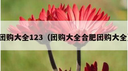 团购大全123（团购大全合肥团购大全）