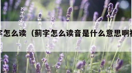 蓟字怎么读（蓟字怎么读音是什么意思啊视频）