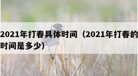 2021年打春具体时间（2021年打春的时间是多少）