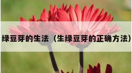 绿豆芽的生法（生绿豆芽的正确方法）