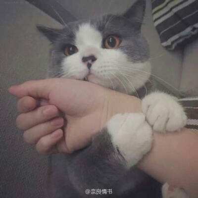 星空体育官方网站app下载