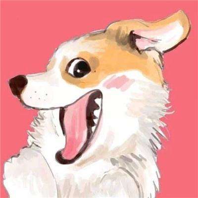 闻可娅