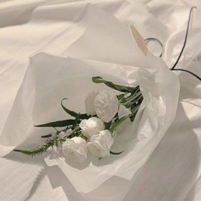 竞速PK10手机应用下载