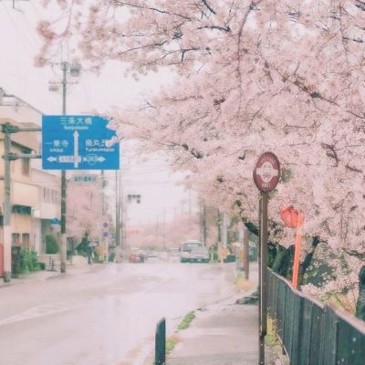 6566体育