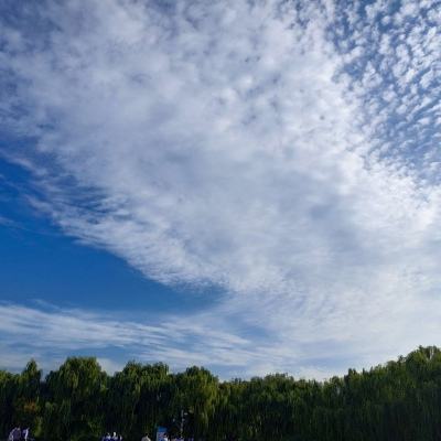 半岛·综合app下载