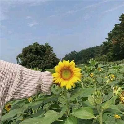 888集团电子游戏