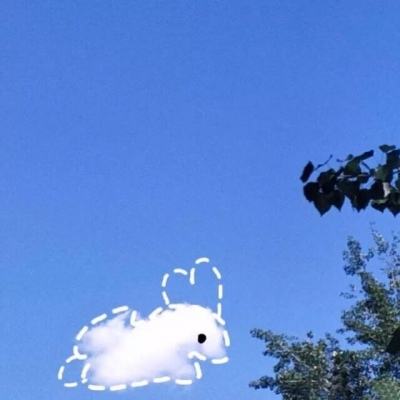 双彩网手机app下载