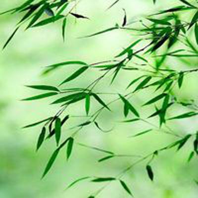 开开棋牌手机app下载