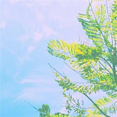 亚搏app