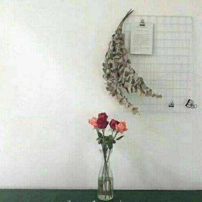 华体会登录手机版手机app下载