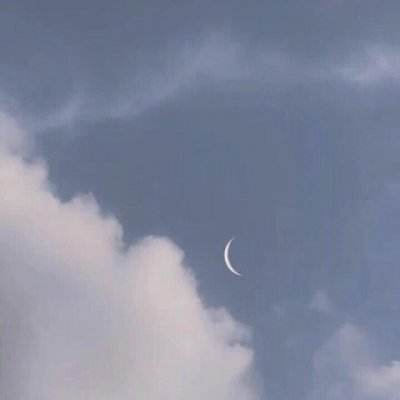澳门一码一肖一特一中下载手机版