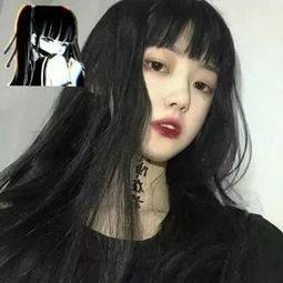 双彩网手机app下载