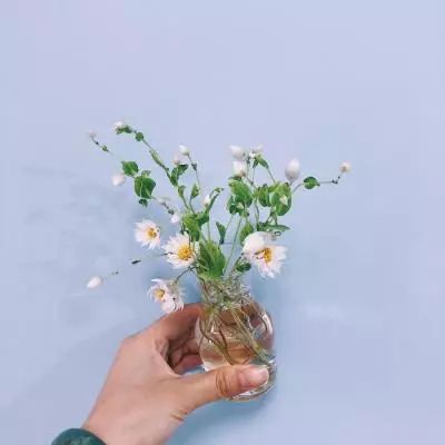 kok下载-登录入口