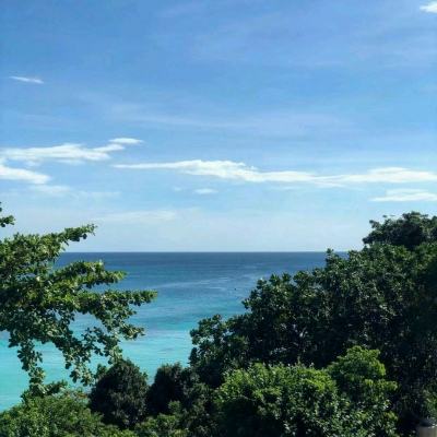 江南体育app下载下载手机版