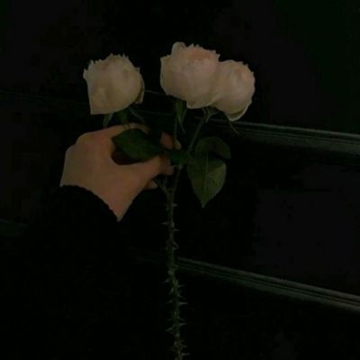 万博体育官方版下载